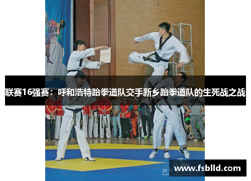 联赛16强赛：呼和浩特跆拳道队交手新乡跆拳道队的生死战之战